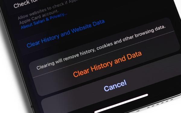 Check Their Browsing History